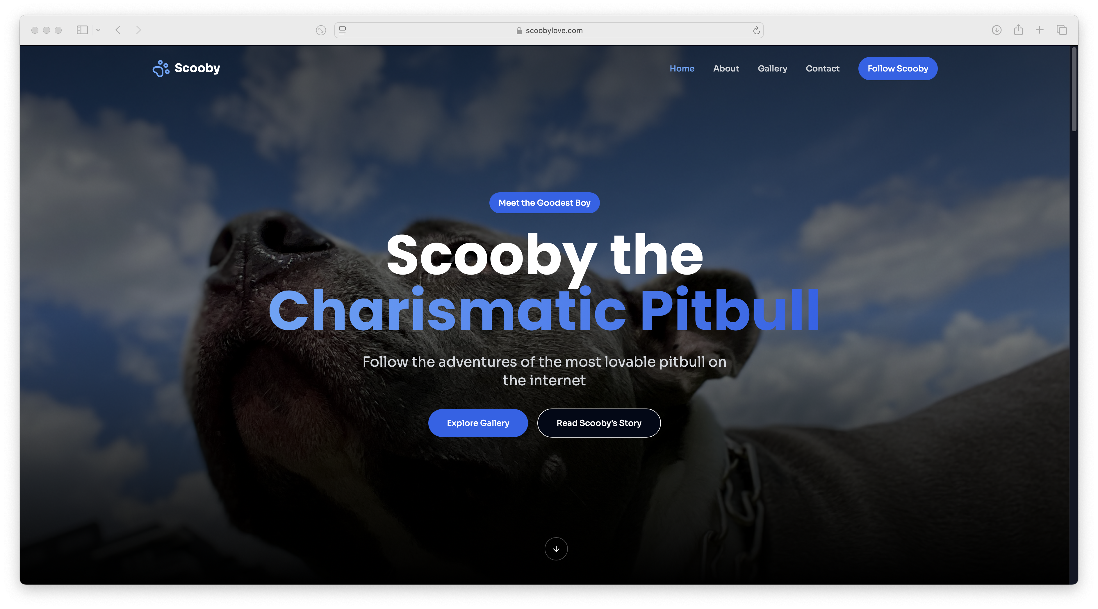 Scooby Gallery 1