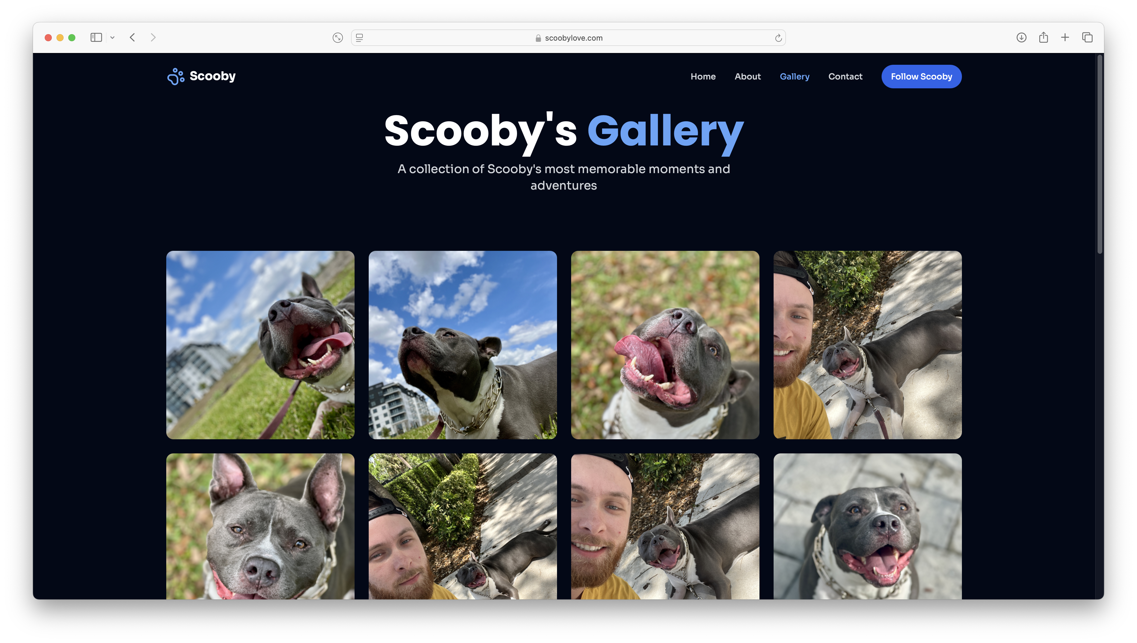 Scooby Gallery 5