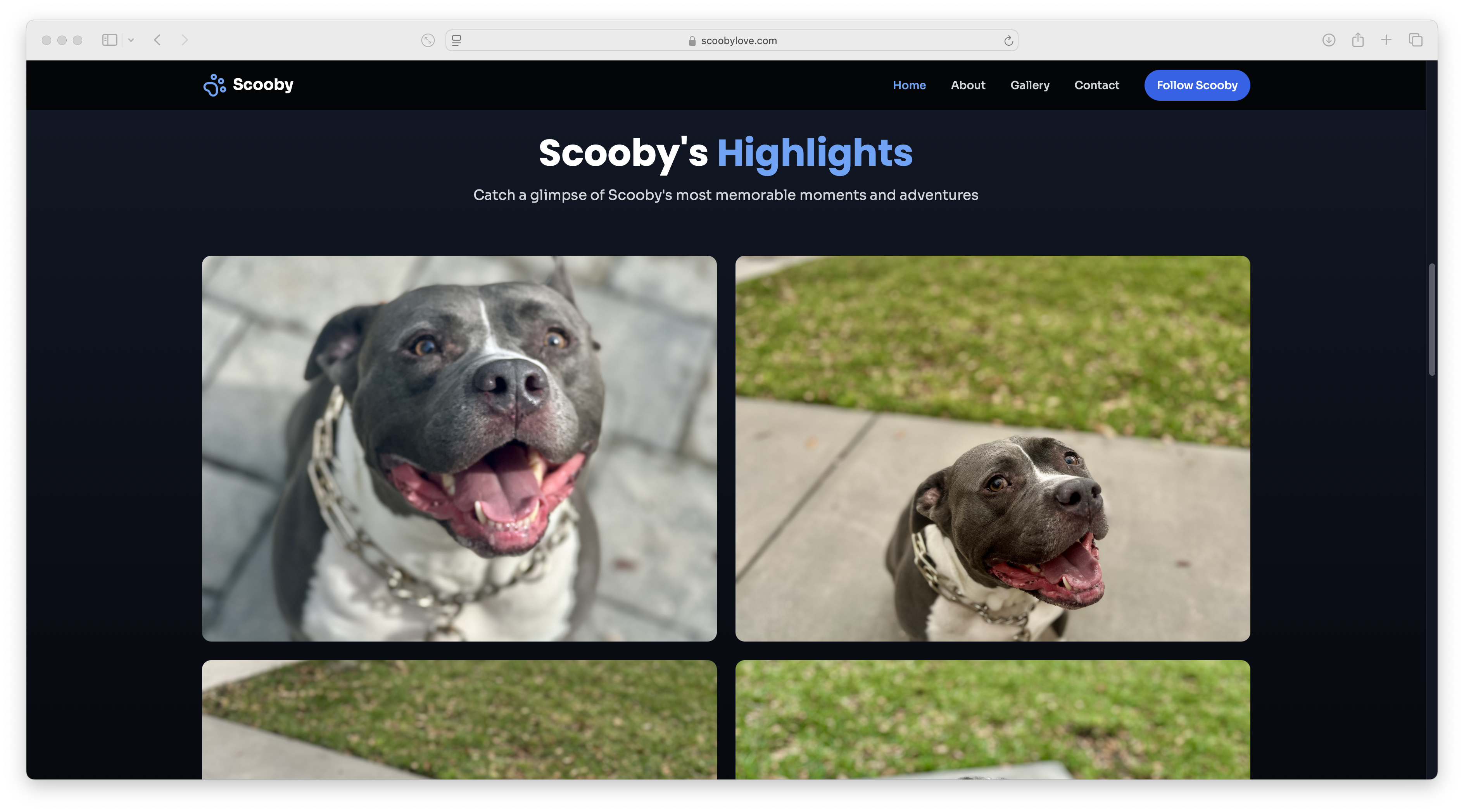 Scooby Gallery 2