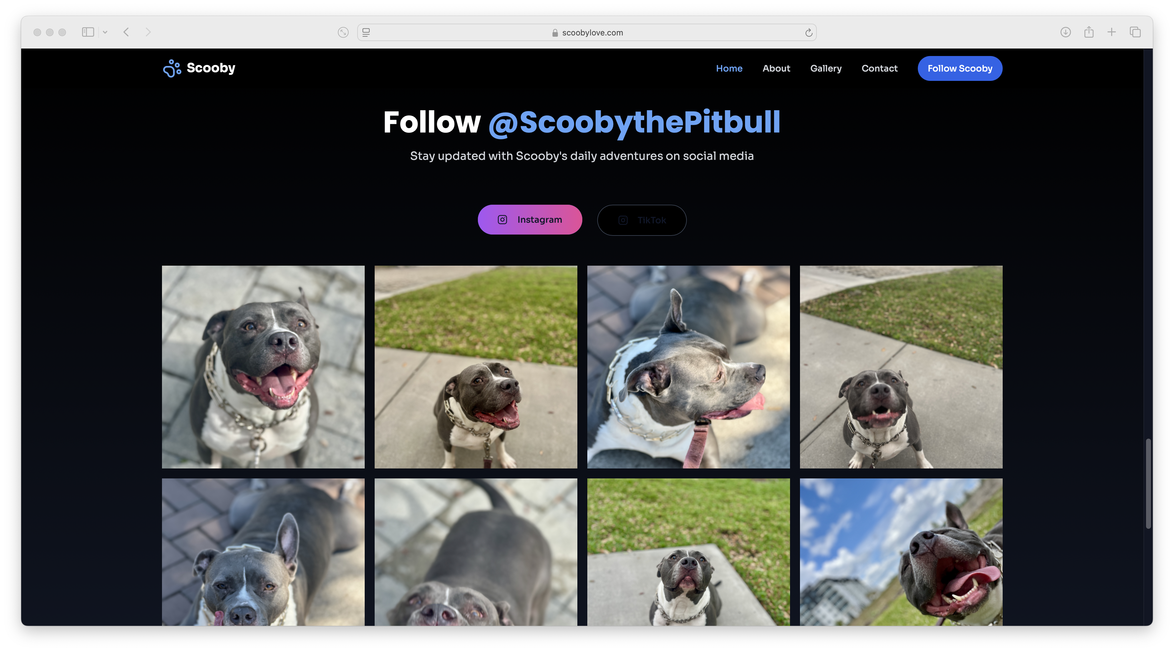 Scooby Gallery 3
