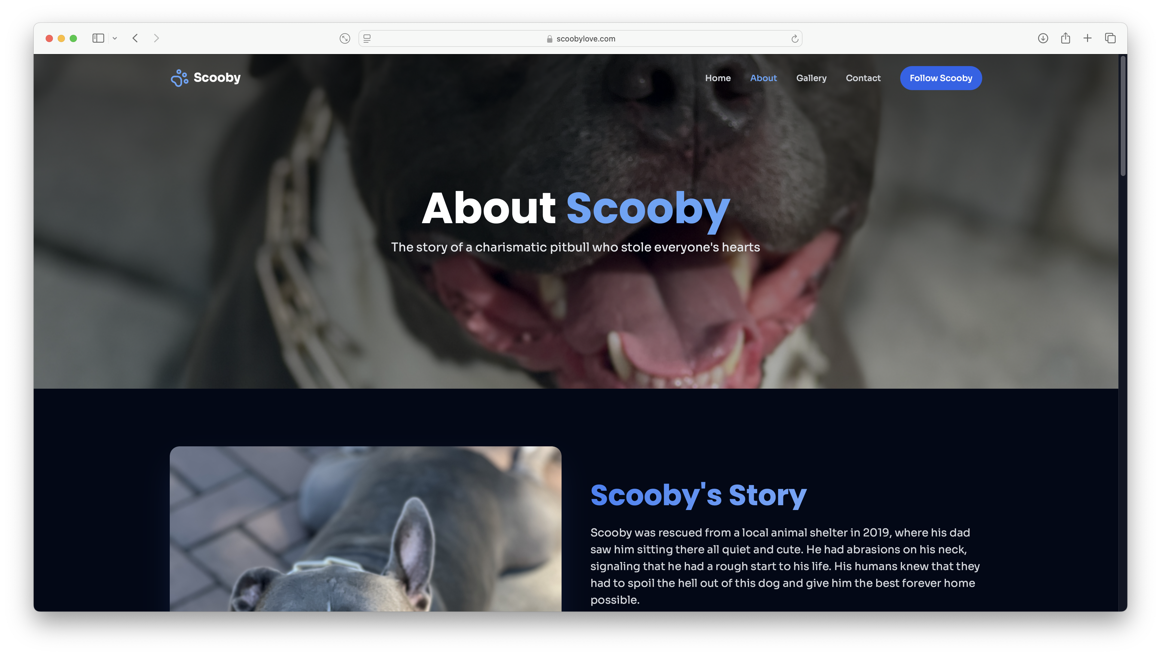 Scooby Gallery 4